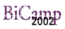 BiCamp 2002